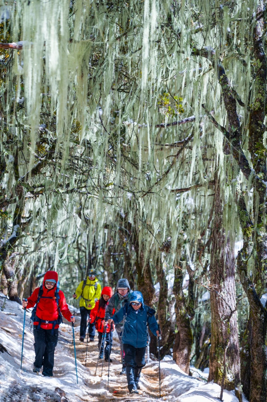 下雪后的阿布吉措直接封神_9_云南徒鹰📷_云南-香格里拉-来自52tours 我爱旅游网